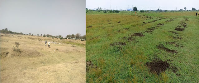 Land preparation 