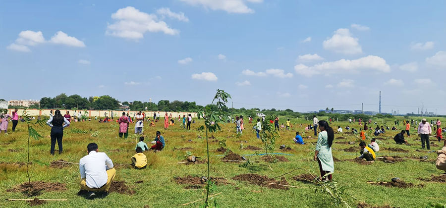 Land preparation 