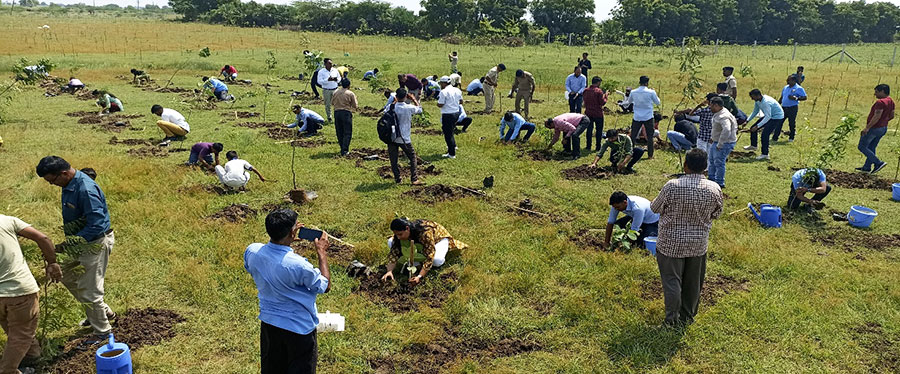 Land preparation 