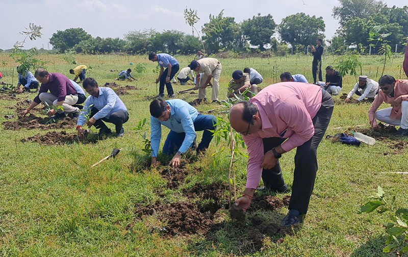 Land preparation 