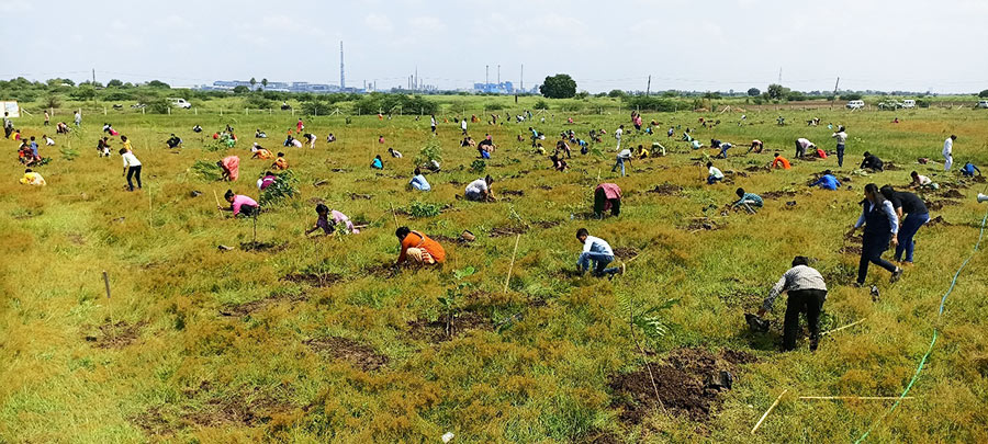 Land preparation 