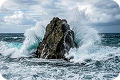 Resilient Business